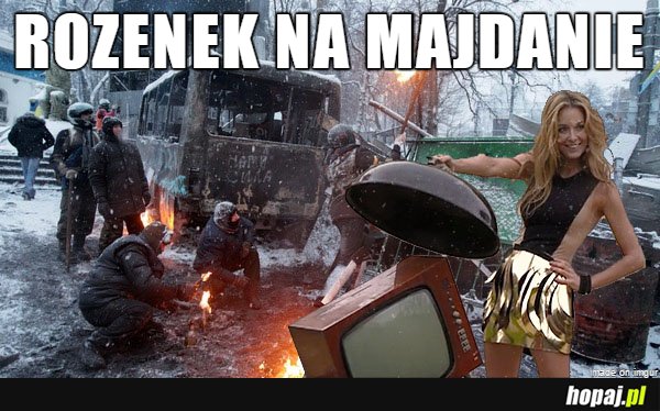 Rozenek na Majdanie