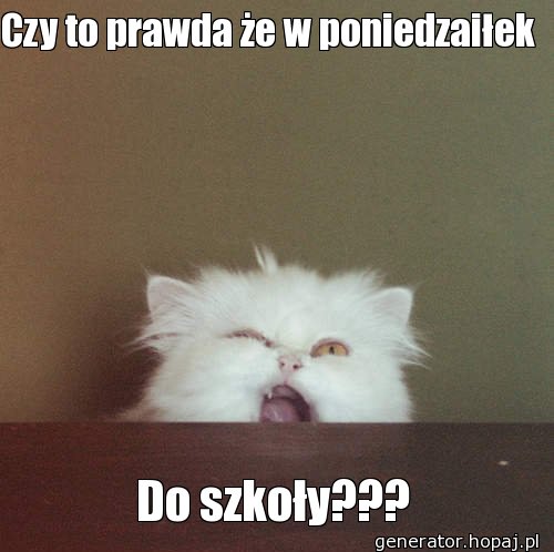 Czy to prawda że w poniedzaiłek 