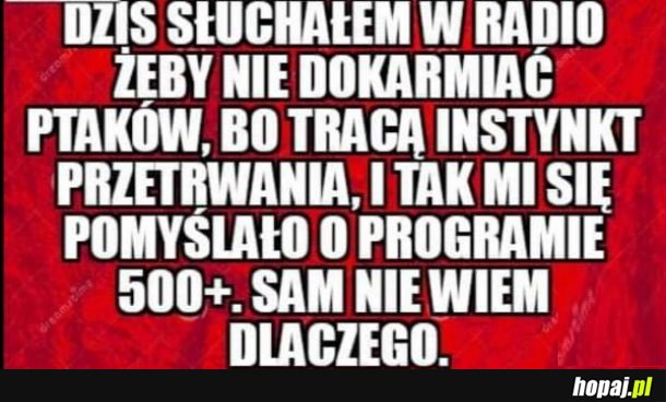 Dokładnie tak działają zasiłki