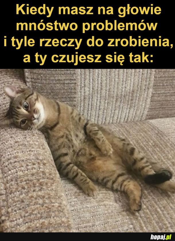 Czuję pustkę