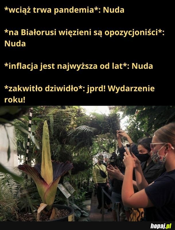 Żeby nie było - też jestem podekscytowany