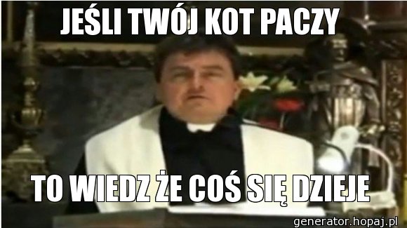 JEŚLI TWÓJ KOT PACZY