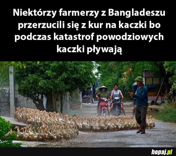 Farmerzy z Bangladeszu