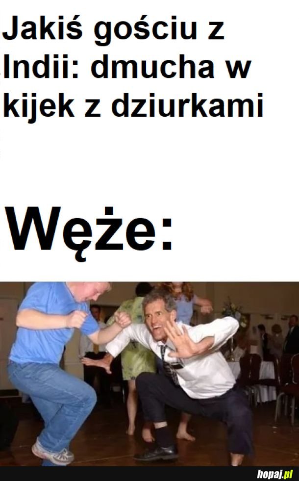 Węże 