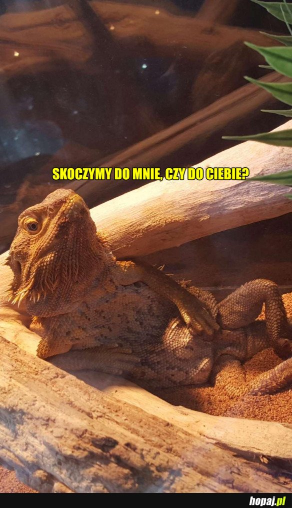 NO CZEŚĆ MALEŃKA