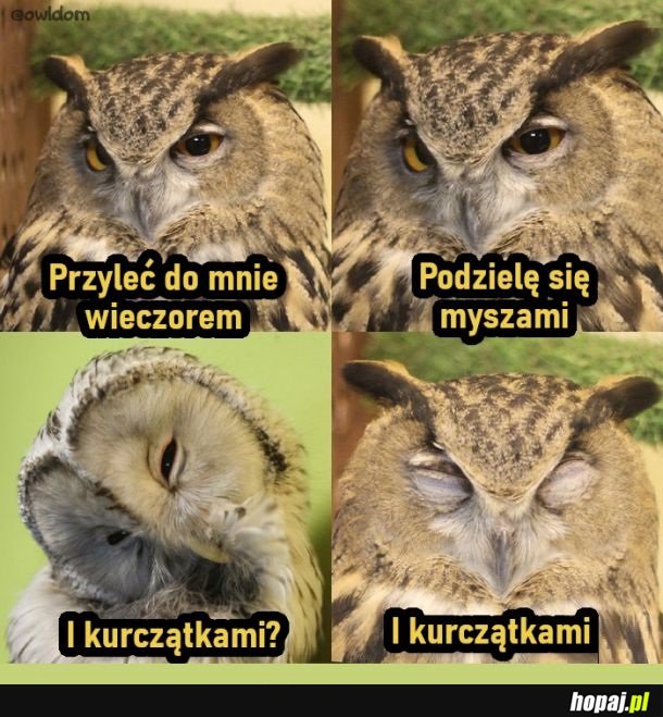 Przyleć do mnie wieczorem