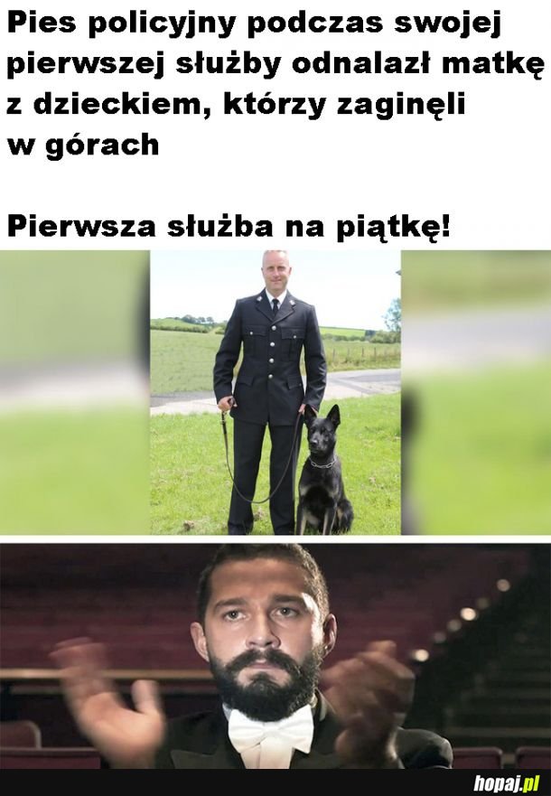 Dobry piesek