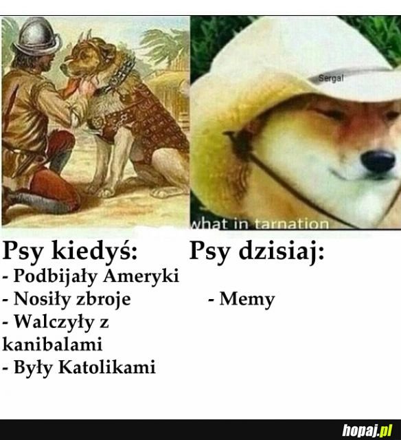 Pieseły