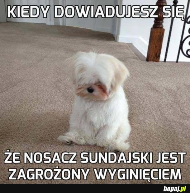 ŚWIAT BEZ NICH BĘDZIE GORSZY