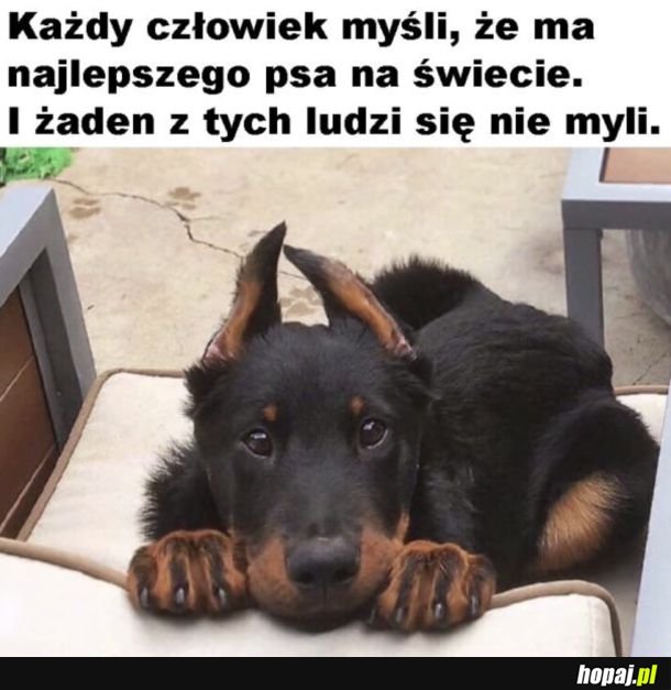 Prawda