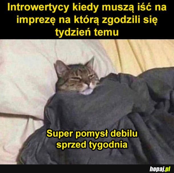 Zły pomysł