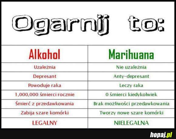Ogarnij to