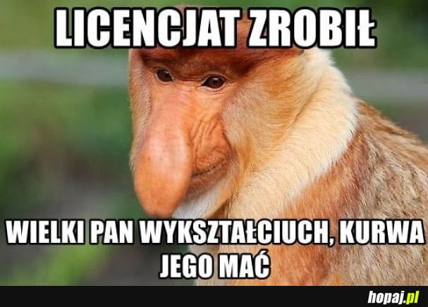 Znalazł się filozof