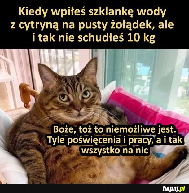 Jak to możliwe...