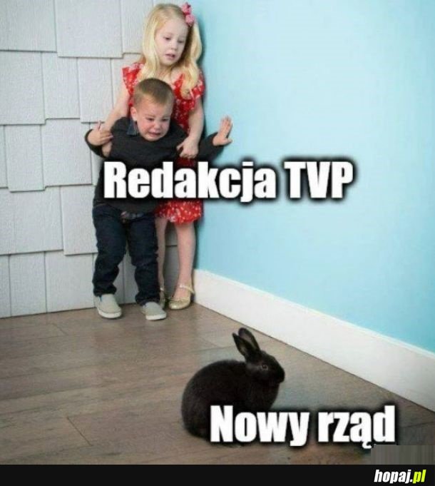 Redakcja TVP