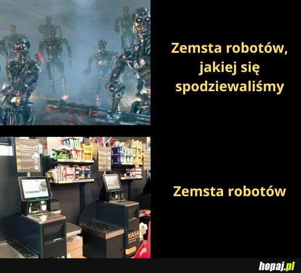 Zemsta robotów 