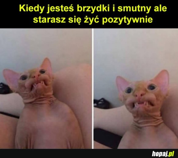 Kiedy się starasz...