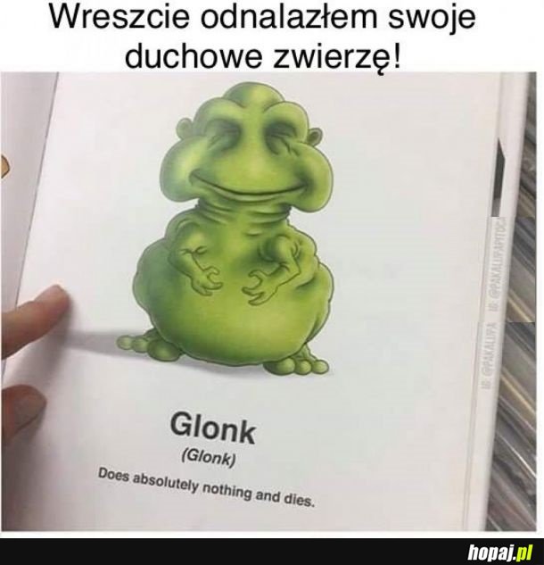 Duchowe zwierzę