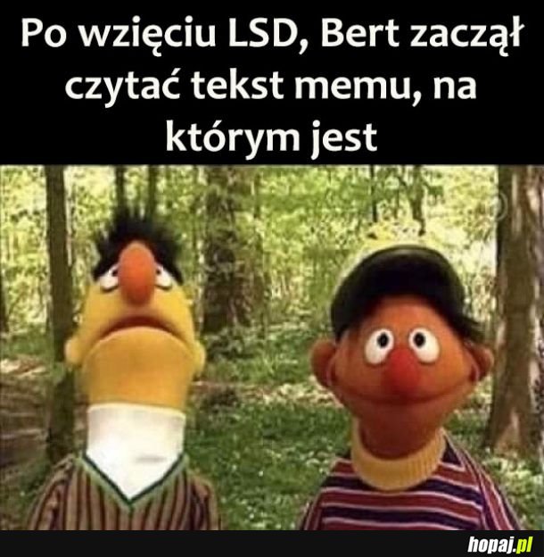 Dobra faza