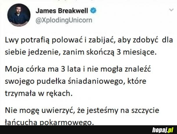 Jak my to zrobiliśmy?