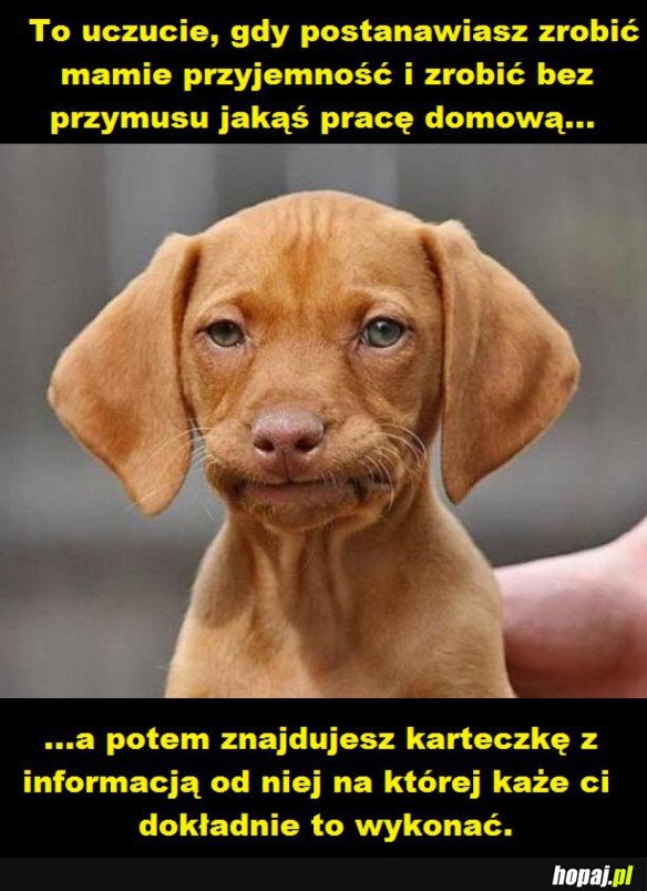 To uczucie