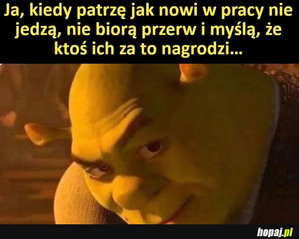 Robota głupiego