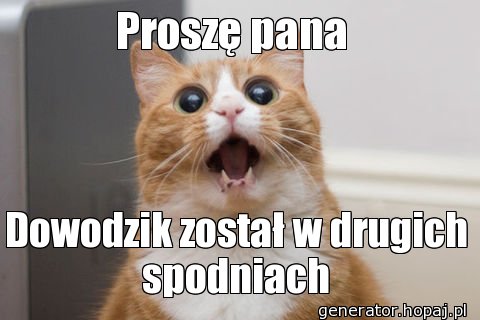 Proszę pana 