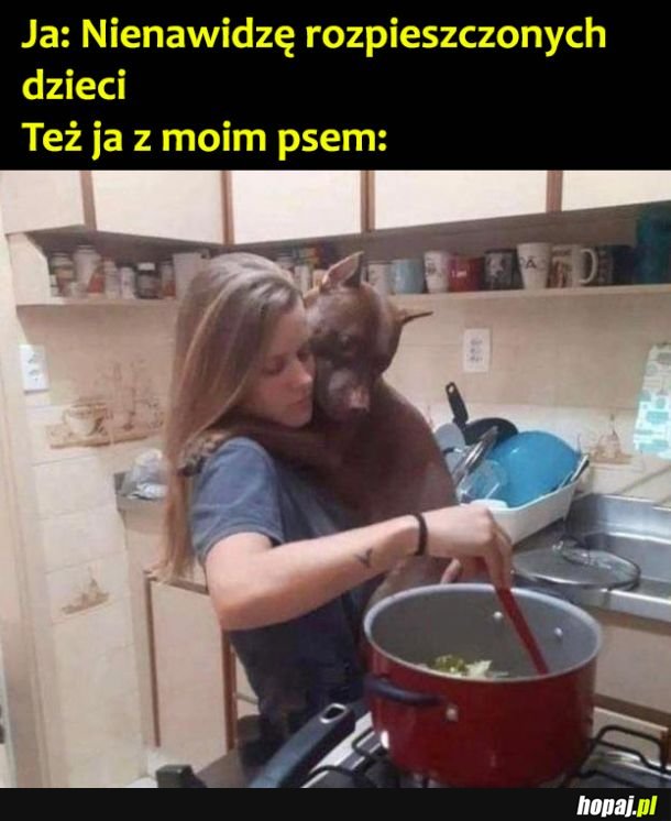 Ja z moim psem