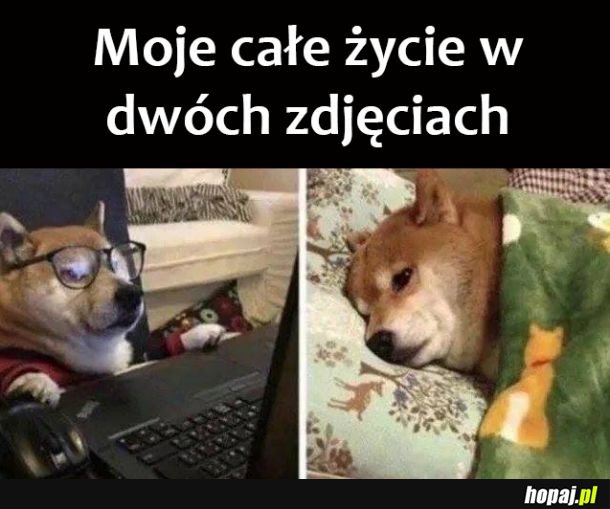 Moje życie