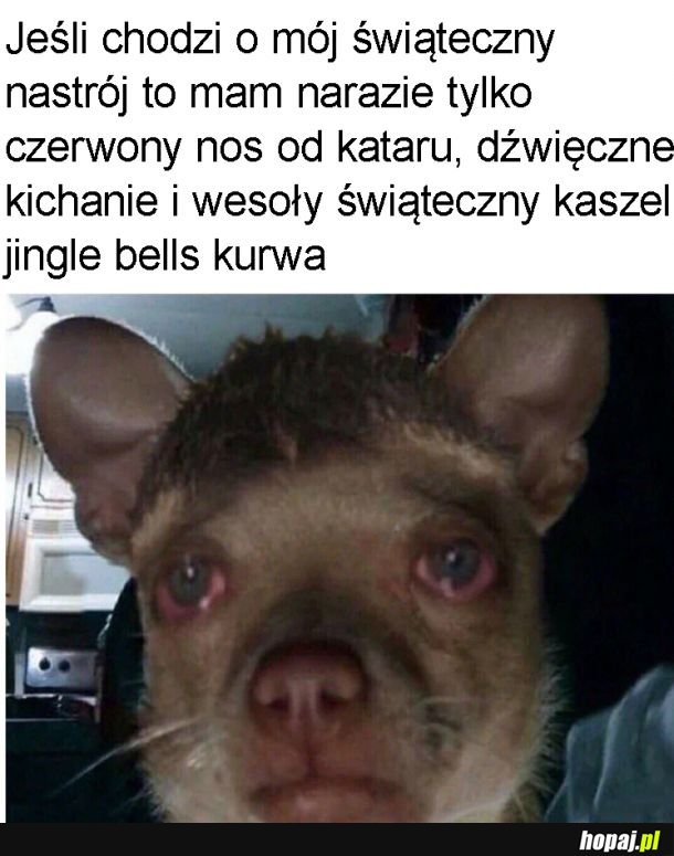 Rzeziębienie w święta