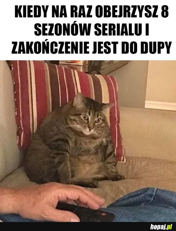 Co oni zrobili