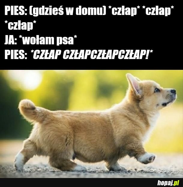 JA: czuje najlepiej 