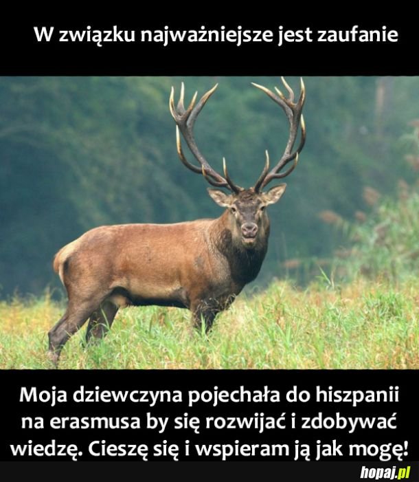 Zaufanie w związku 