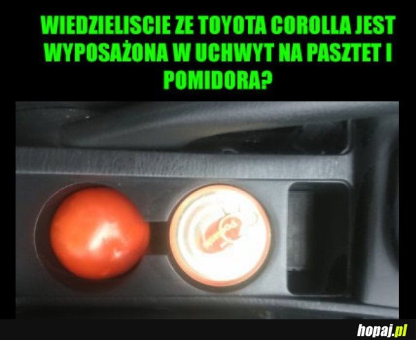 IDEALNIE WESZŁO