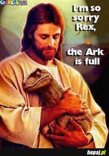 Sorry Rex