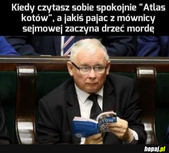 Jakiś pajac drze mordę