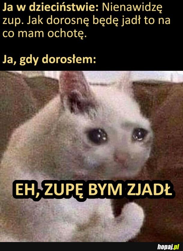 Tak, jestem zupolubicielem