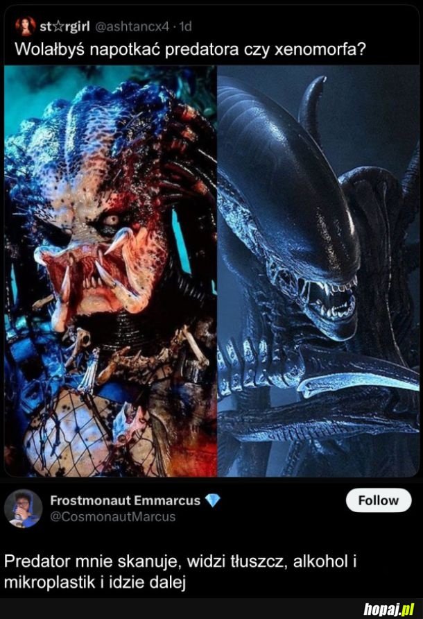 Predator
