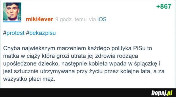 Największe marzenie każdego polityka PiSu