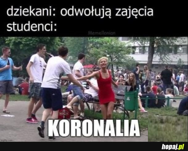 Koronalia