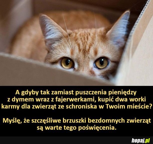 Propozycja