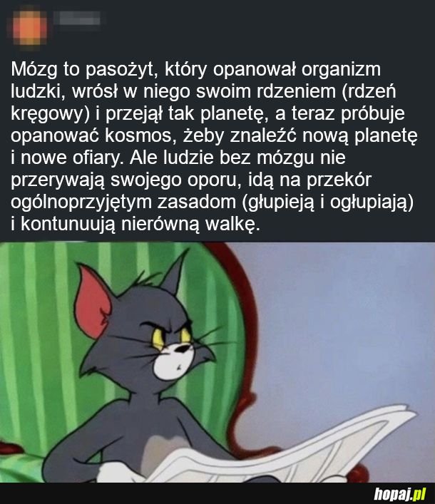 Pasożyty 