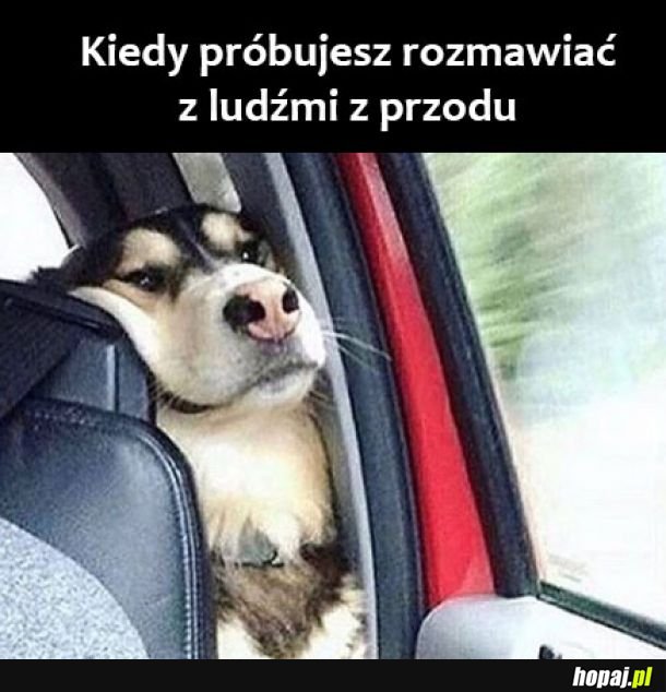Rozmawiajcie ze mną 