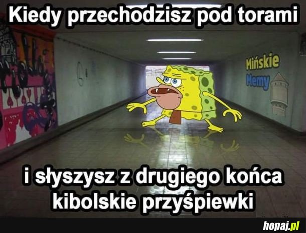 Kurde przypał