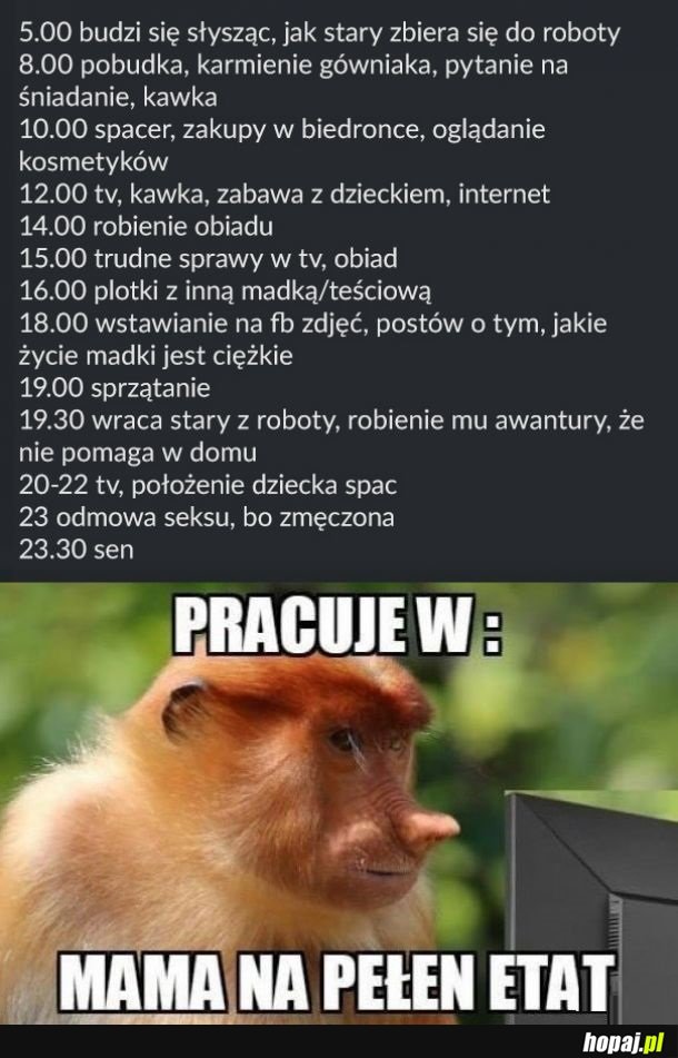 Dzień z życia Madki Polki