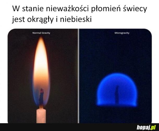 Wiedzieliście o tym?