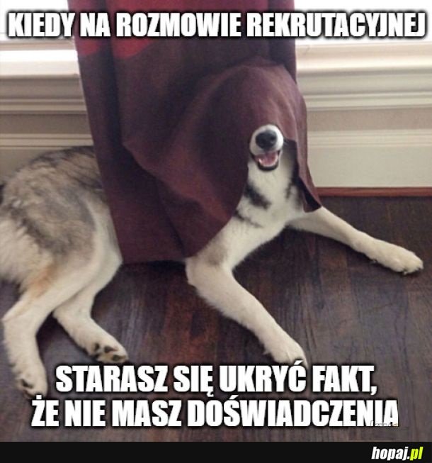 Trzeba sobie radzić