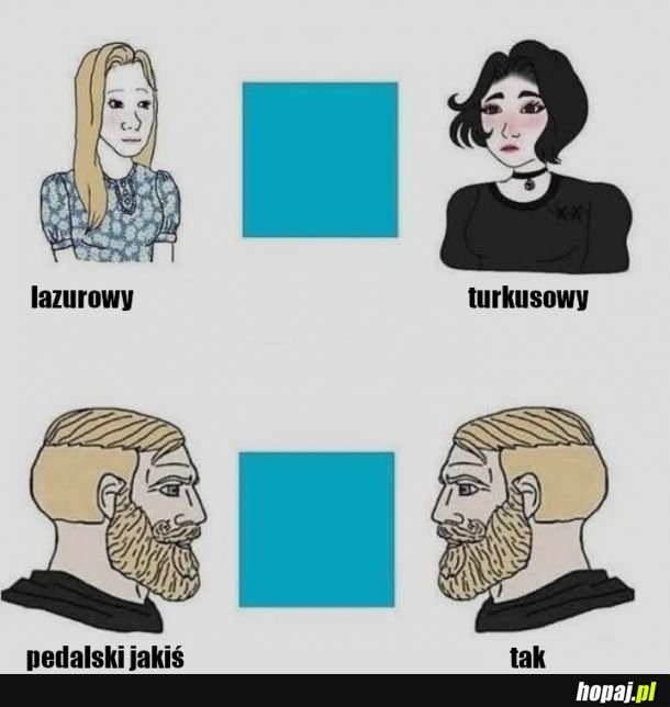 Zdania ekspertów