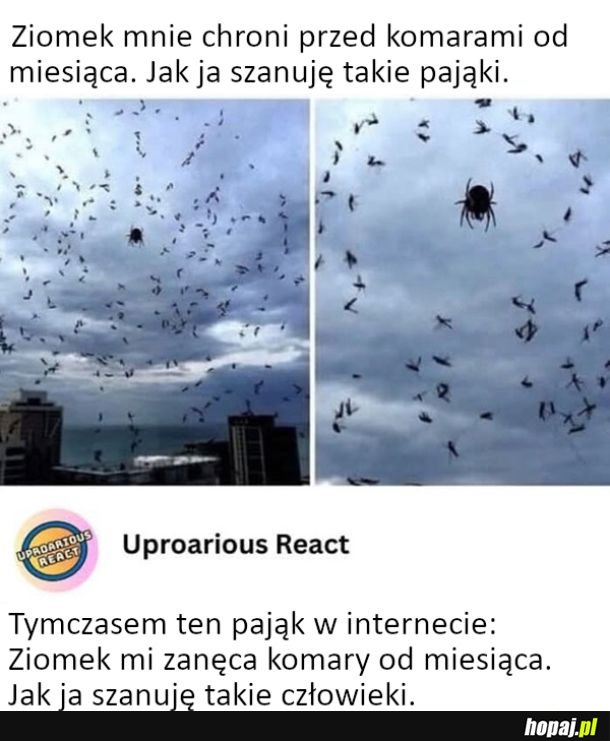 Tarcza przed komarami