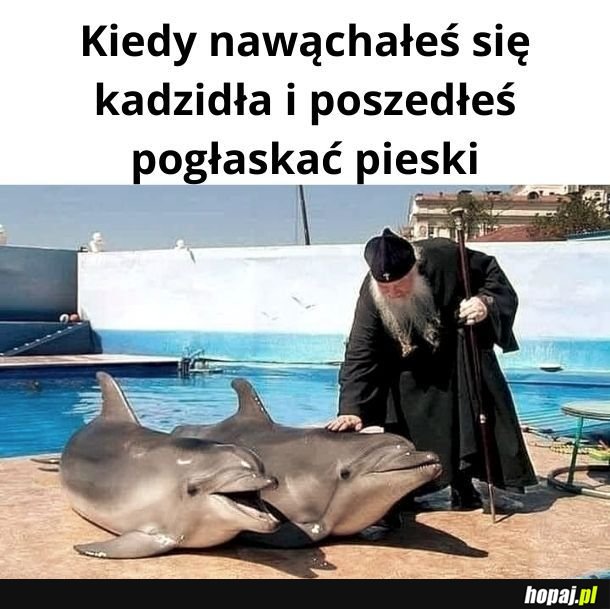 Kocham Cię, piesku!